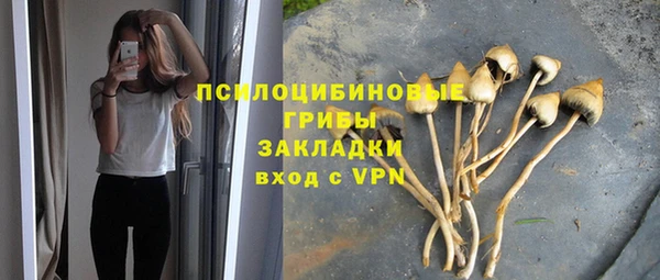 таблы Медногорск