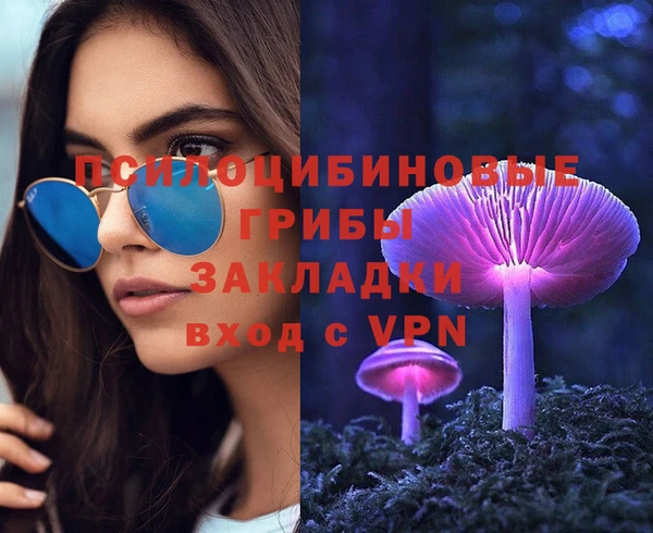 меф Медвежьегорск